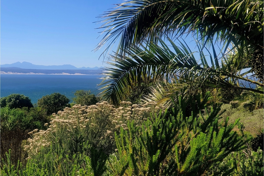 0 Bedroom Property for Sale in Vleesbaai Western Cape